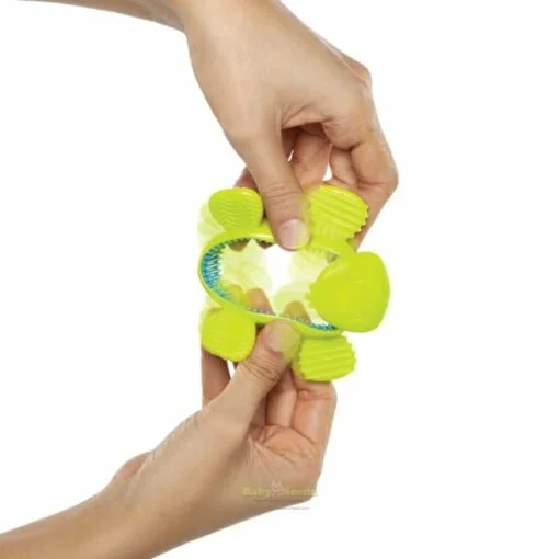 Bright Starts Revers a Turtle Teether - Image 2