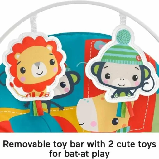 Fisher Price Newborn-to-Toddler Portable Rocker - Image 7