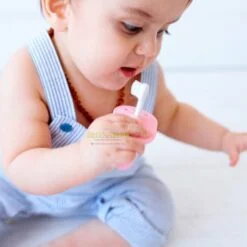 Alternative view of Marcus & Marcus Palm Grasp Toddler Training Toothbrush Set