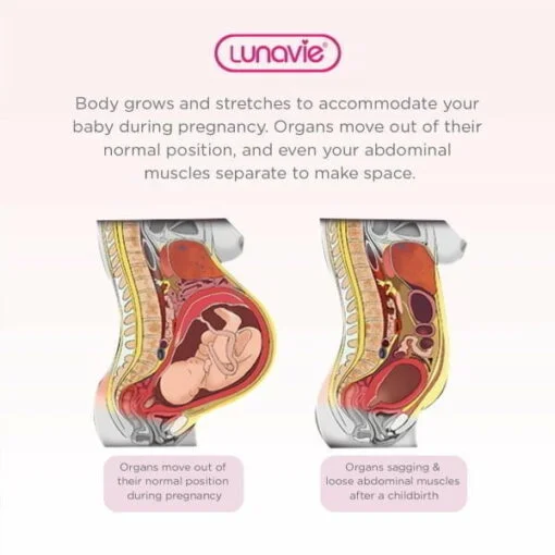 Lunavie Premium Postpartum Abdominal Binder - Image 5