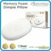 Autumnz Memory Foam Baby Dimple Pillow with Tencel Cover