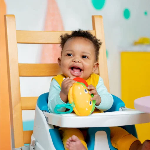 Bright Starts Crinkle Baby Teether Toys - Image 4