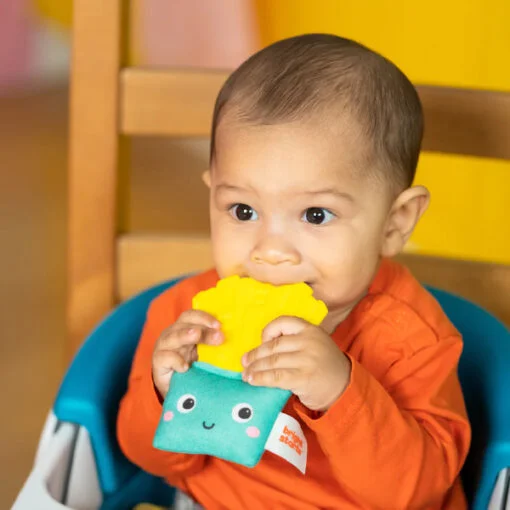 Bright Starts Crinkle Baby Teether Toys - Image 2